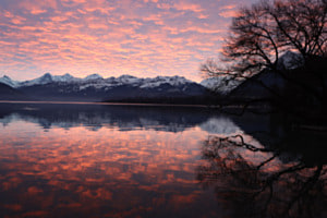 Spiegelbild mit Morgenrot Spiegelbild mit Morgenrot
