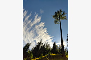 SPLASHY CLOUDS