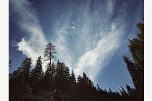 THE APPROACHING