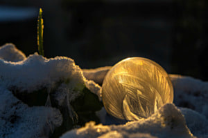 Magischer Wintermorgen