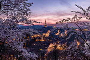 Blütenzauber über Bern 