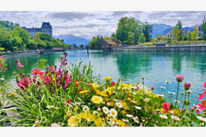 Aare Farbspiel im Sommer