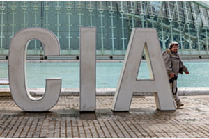 Die CIA-Agentin in geheimer Mission