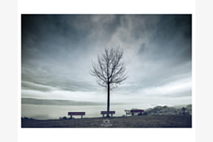 Ausblick Ausblick