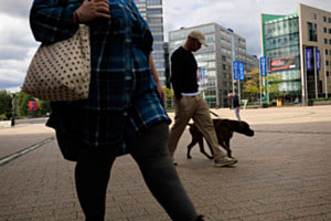 Hundeausgang