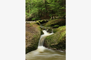 Wasserlauf im Wald Wasserlauf im Wald
