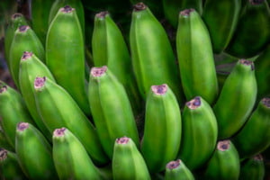 Grüne Bananen