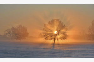 Wintersonne Wintersonne