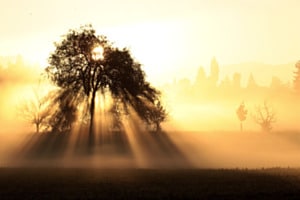 Herbstmorgen im Aaretal