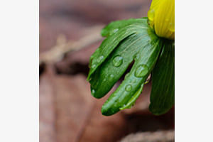 Waterdrop Waterdrop