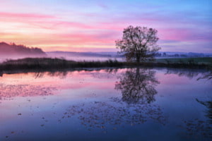 Morgenrot 