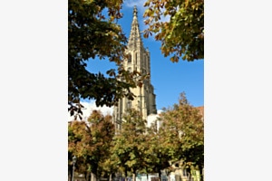 Herbstliches Münster