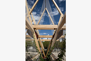 Holzbau Holzbau