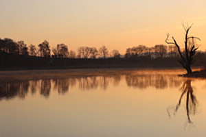 Morgendliche Stille