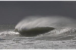 The Wave