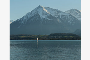 Niesen 