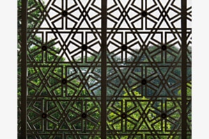 Geometrie in der Natur
