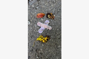 The ground wears its feelings today