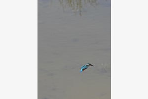 Flug durch die Stille Flug durch die Stille