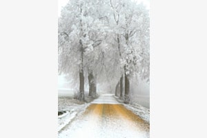 Winterwunderland 