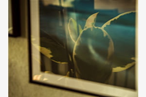Reflektion