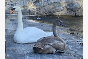 Mamma und Kind Mamma und Kind