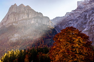 Herbstsonne