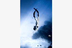 Freedive Freedive