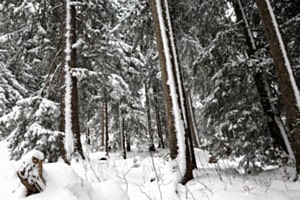 Frisch verschneit