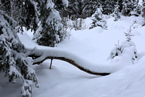 Frisch verschneit