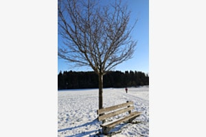 Freie Bank