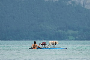 Auf dem Thunersee