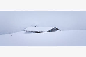 Snowy Highs Snowy Highs