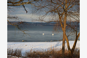 Am Bodensee Am Bodensee