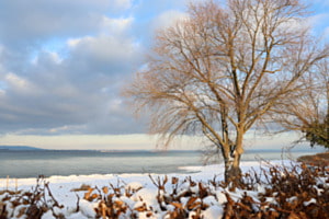 Stille am See