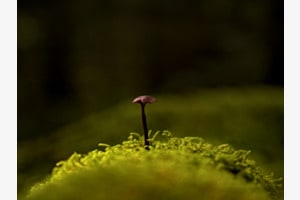 Einsam