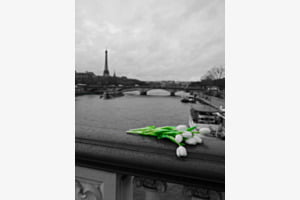 Le vert de Paris