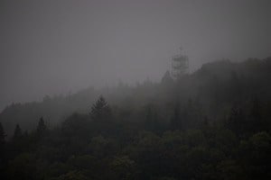 Standhaft im Nebel Standhaft im Nebel