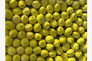 Limoni
