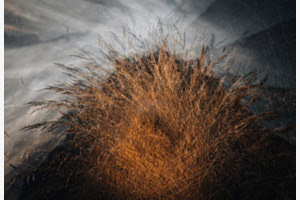 In den Alpen