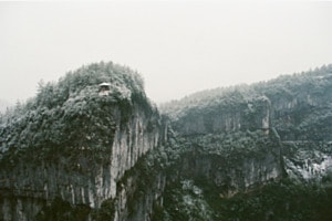 Nature Nature