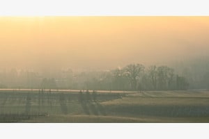 Nebel mit Sonnenuntergang 