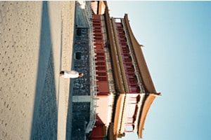 alone in the forbidden city alone in the forbidden city