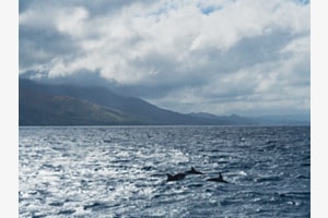 the beauty of the sea