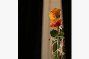 Due rose