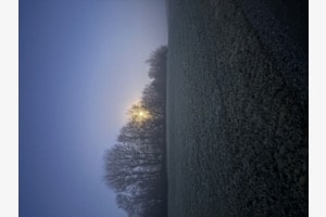 Nebel Nebel