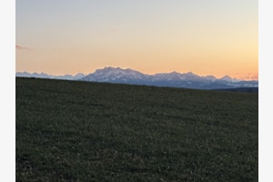 Pilatus Pilatus