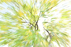 Zoom Zoom