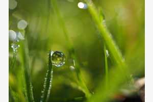 Detailverliebt Detailverliebt
