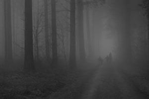 Mutig ins Nichts